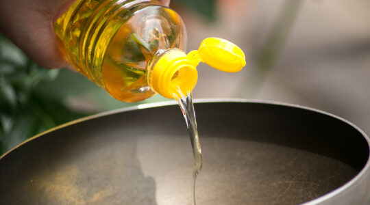 Traçabilité des huiles alimentaires